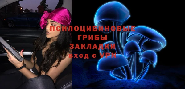 гашик Алексин