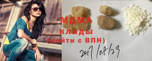 гашик Алексин