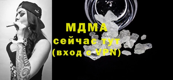 гашик Алексин