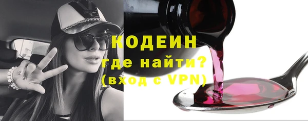 гашик Алексин