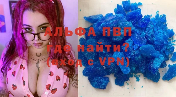 гашик Алексин