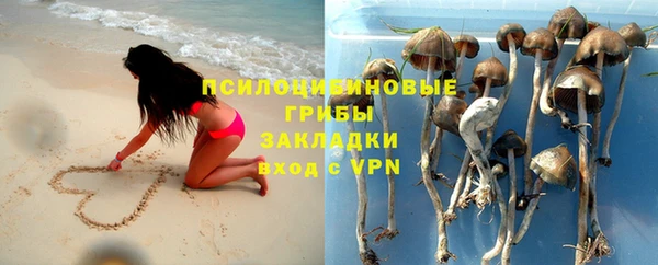 гашик Алексин