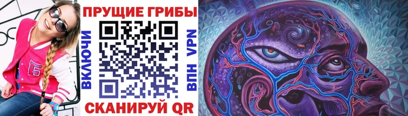 Галлюциногенные грибы MAGIC MUSHROOMS  Кондопога 