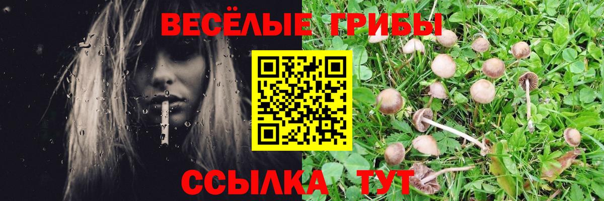 Галлюциногенные грибы GOLDEN TEACHER Кондопога