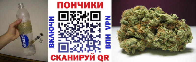 Бошки марихуана марихуана  мега рабочий сайт  Кондопога  где купить наркоту 